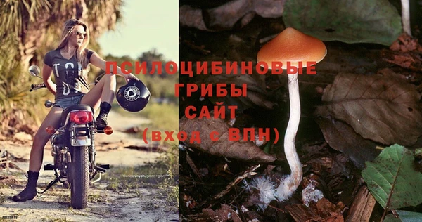 кокс Арсеньев