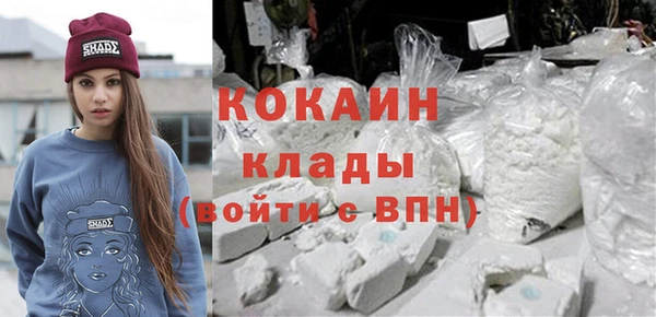 кокс Арсеньев