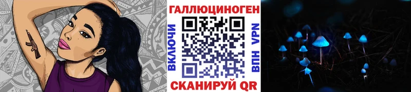 Галлюциногенные грибы Psilocybe  Полярные Зори 